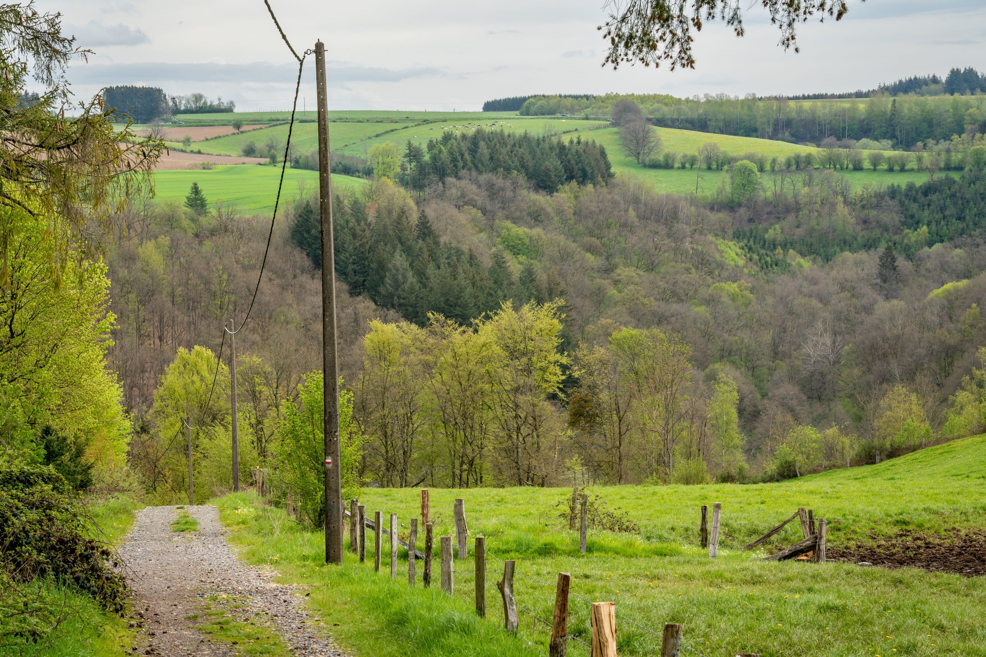 Landscape of Bouillon, hiking in belgian Ardennes